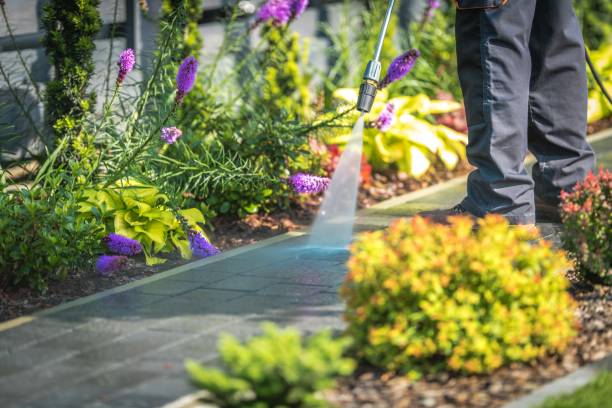 Best Gutter Cleaning and Brightening in Beckett, NJ